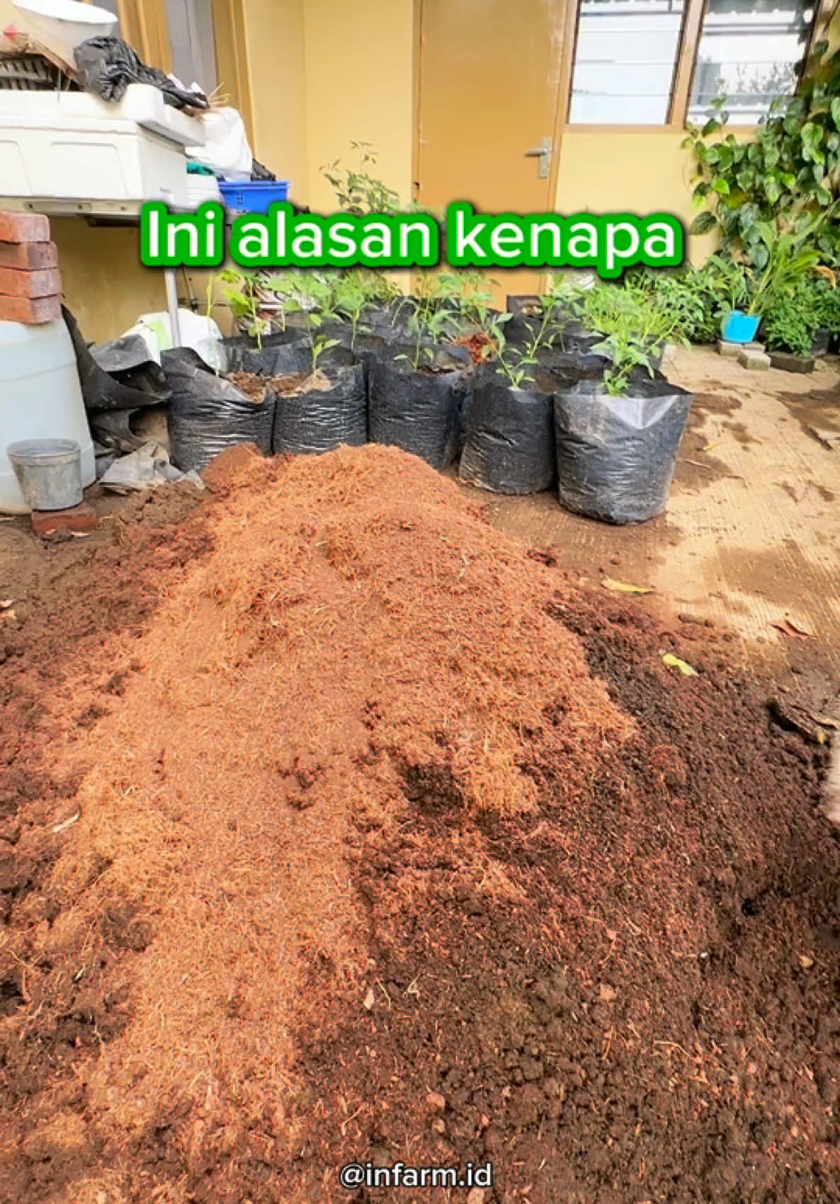 Resep rahasia tanah subur dan gembur 🥰 #infarm #infarmid #berkebun 