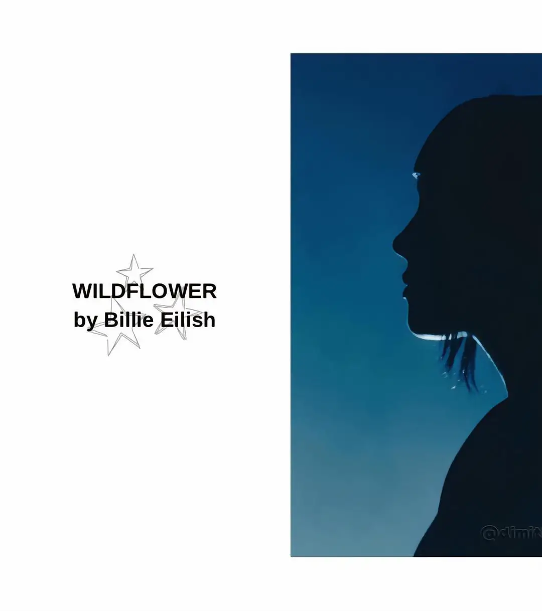 WILDFLOWER by Billie Eilish #billieeilish