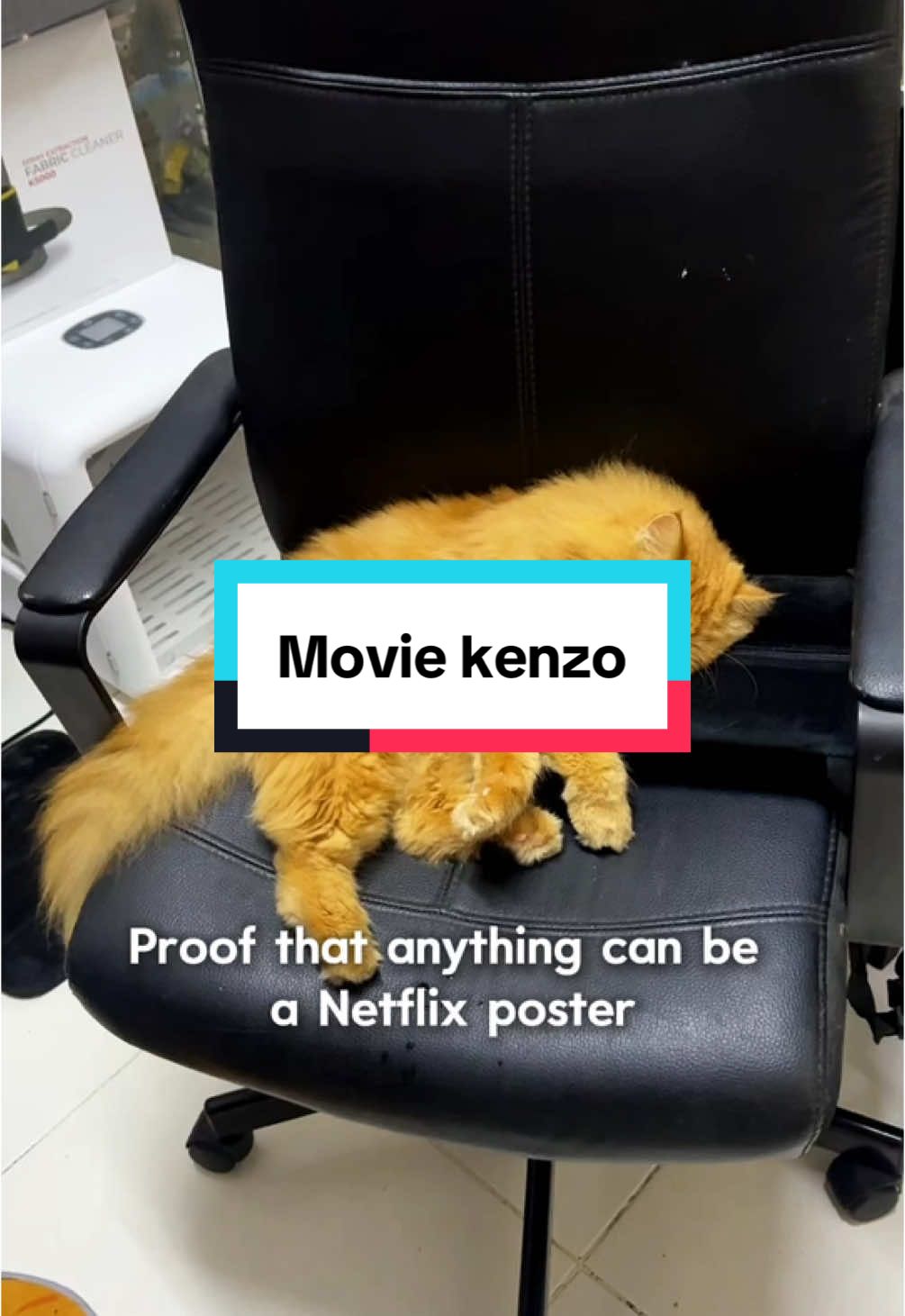 Ada yang nak tengok tak movie ni? 😹 #kenzo #cat #kucing 