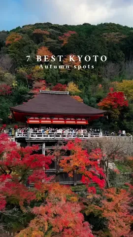 🍁🇯🇵 7 best Kyoto Autumn Spots  Save these Kyoto autumn foliage spots for your Japan fall trip. These are some of my favourite spots around Kyoto to see autumn colours. 1. Daigo-Ji Temple: an easy 30 min train ride into the hills from Kyoto, walk up to the top to see the red bridge and get some udon from the restaurant next to it. Back down near the entrance make sure to see the stunning Sambo-In zen garden. 2. Imamiya shrine & Kazariya tea house: one of our favourite spots to enjoy some tea and grilled sweet aburi mochi dumplings. 3. Hokyo-in temple: this small temple bursts with vibrant autumn colours, at night it is illuminated during the peak colours. Also check out nearby Hogon-In temple during the day and night. 4. Somekobo Yumeyusai: this fabric dying gallery has beautiful reflections  of the autumn foliage with views over the river in Arashiyama. 5. Kiyomizu-dera: an iconic spot overlooking Kyoto, get here early to beat the crowds. Grab a great coffee or matcha latte at %Arabica in Higashiama on the way up.  6. Otagi Nenbutsu-ji faces temple: a beautiful tranquil and unique temple in the hills above Arashiyama, you can get here easily by bus from Arashiyama. 7. Higashiyama District: a beautiful neighbourhood to explore with its traditional buildings, teahouses and shrines. Get here early to beat the crowds or explore it after dark for a unique quiter mood. #kyoto #japan #autumn #fall #kyotojapan #japantravel 