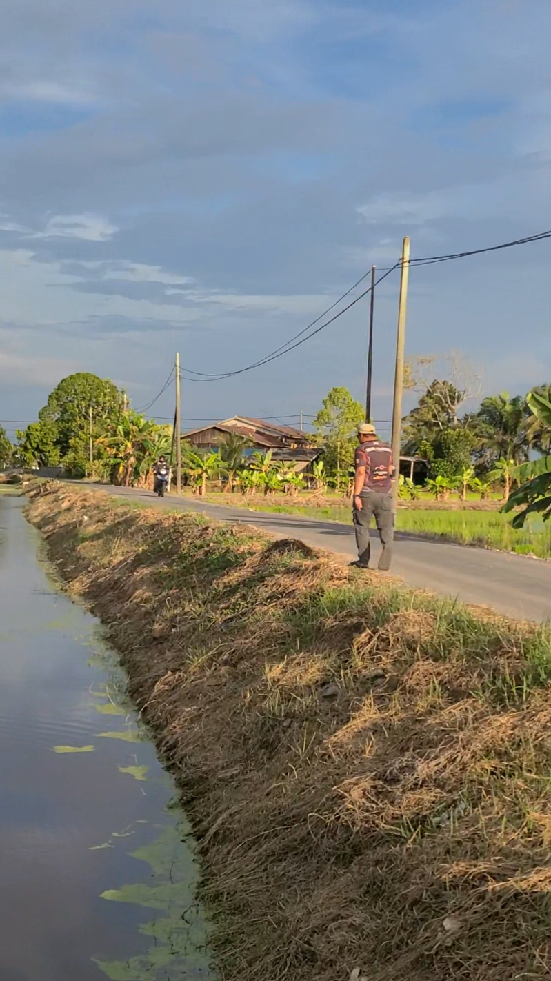 Hari ni aku kunpow 🤣 #haruan #mancingmania #fishing #joranpancing #mancing @Mona ☝️😎 @𝙁𝙖𝙞𝙧𝙪𝙯’𝘼𝙗𝙚𝙢 🍃 