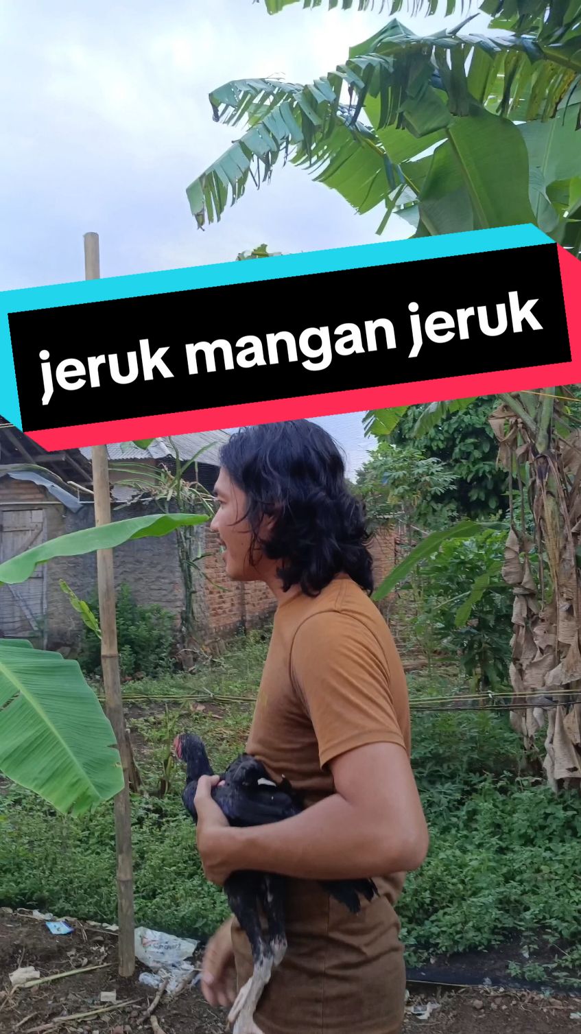 jeruk makan jeruk 😝#tiktokjawa #fyp #fypシ #ngomongjowolucu #bahasajawalucu #oranglampungngomongjawa #ngomongjowo #tiktoklampung #lampungtiktok #lampung #lampunghits #lampungviral #lampunggeh 