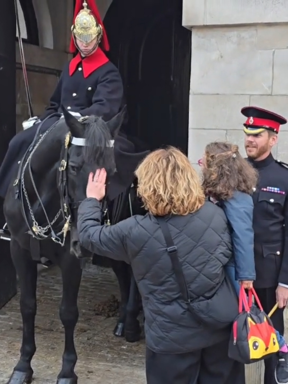 changing of the guard #tourist #royalguards #kingsguard #london #horse #britishmilitary 