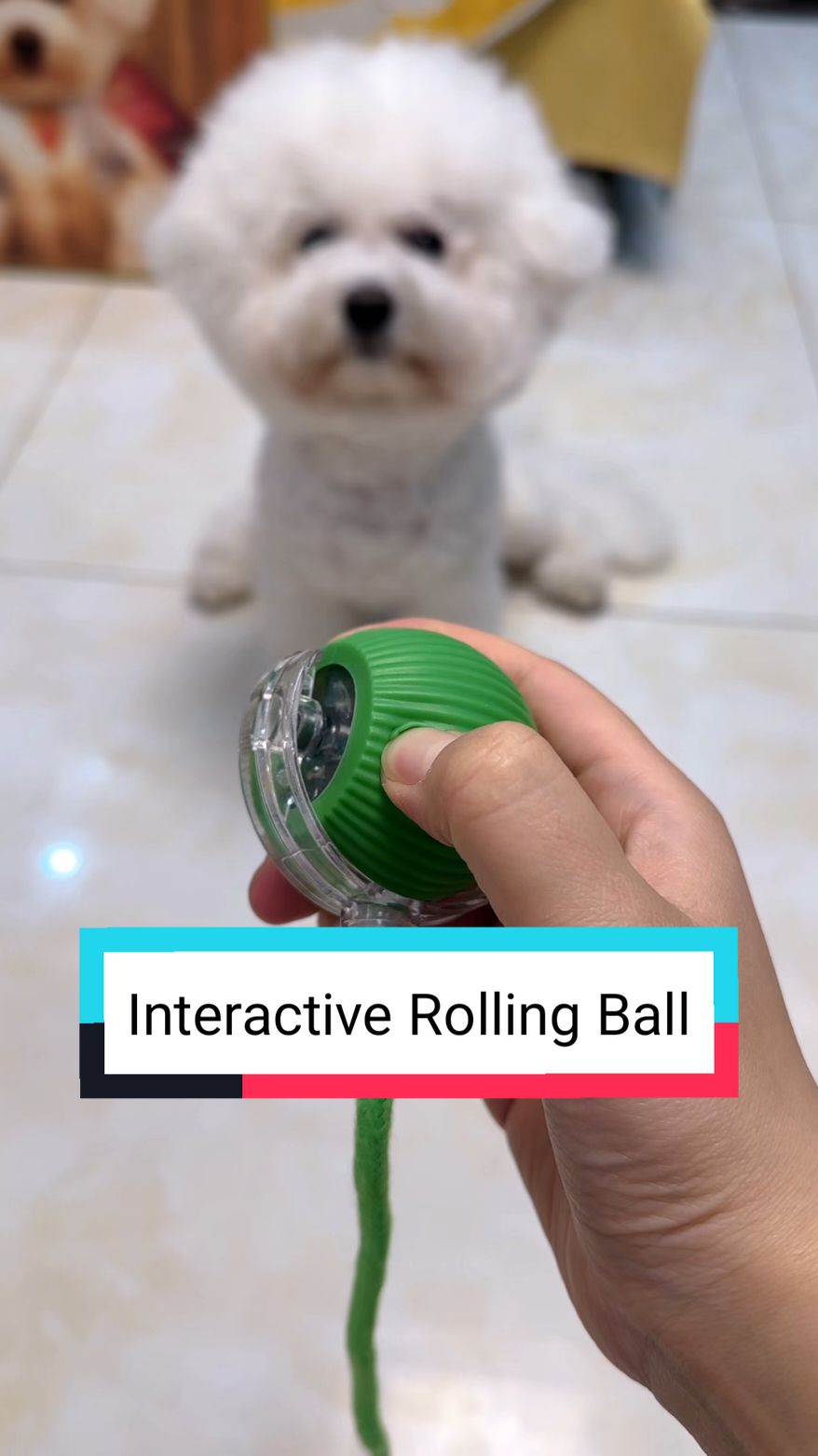 Interactive Rolling Ball 🧶 #rollingball #dogtoys #dogproducts 