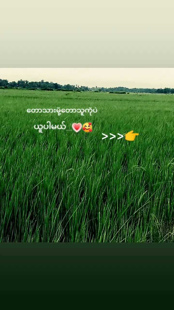 #တောသားမို့တောသူကိုပဲယူပါမယ်😘#foryou #fpyツ #tiktok #myanmartiktok 