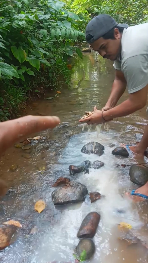 proses membius ikan di sungai mengunakan akar pohon tuba