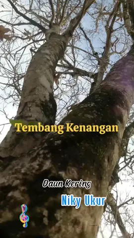 #tembangkenangan #lagulawas  #sweetmemories  #lagujadulhits #daunkering #nickiukur #capcut 