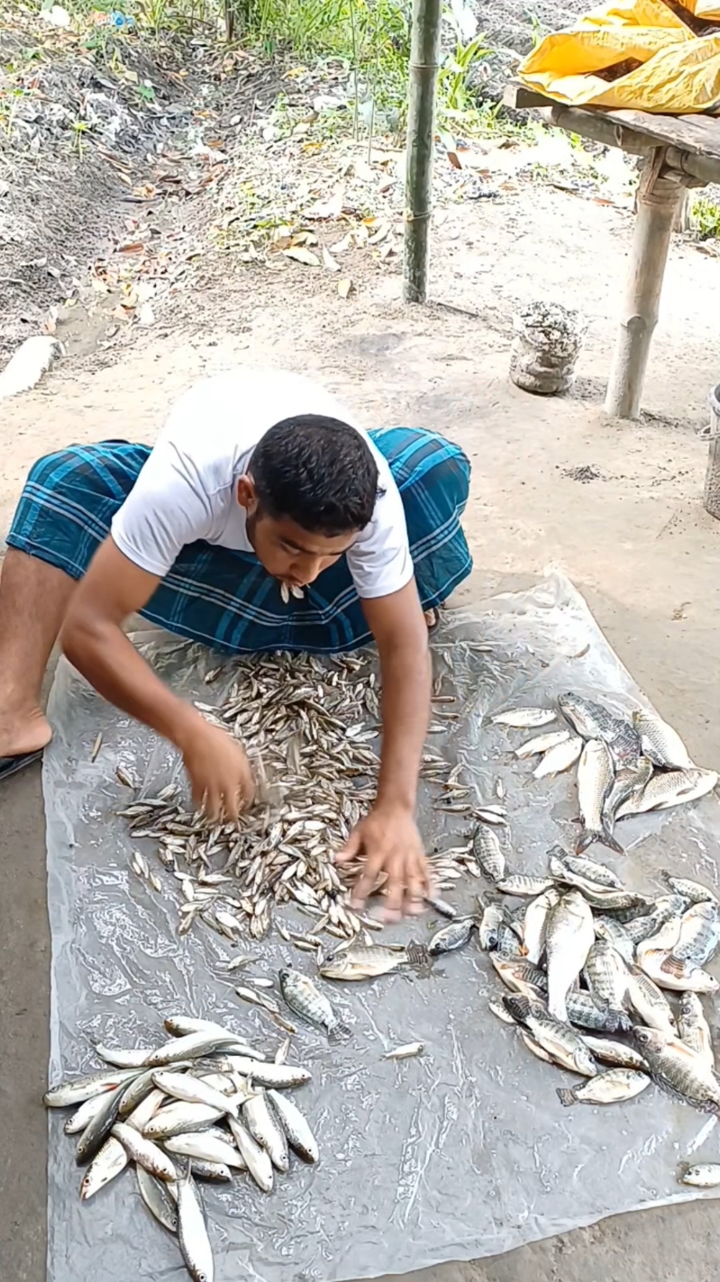 দেশী মৌকা  মাছ খাইতে সেই স্বাদ #fish #funnyvideo 