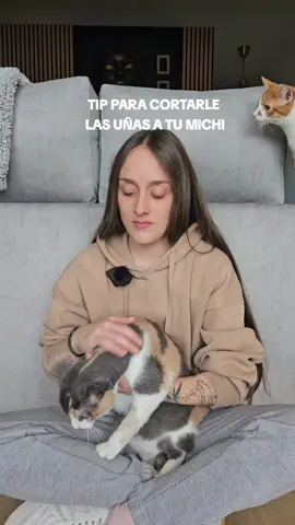 A mi me hubiese gustado saber este tip con mis anteriores gatos 🤭🤭 #gatos #gatostiktok #cortauñasgato #cortar #uñas #tip #tips 