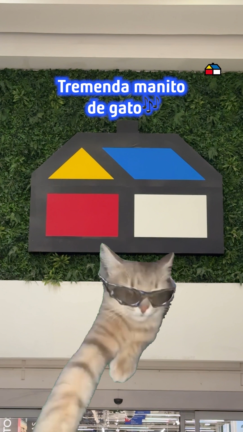 ¡Manito de gato activada! 🖐️🤩¿Qué parte de tu casa necesita un retoque urgente? El baño medio ñaño, la pieza sin onda o ese ‘espacio en veremos’… Cuéntanos en los comentarios. Y obviooo, pásate por Sodimac, donde encuentras todo pa’ dejarla impeque y a precios buenísimos. ¡A darle vida a esos espacios!