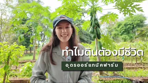 ทำไมดินต้องมีชีวิต?  🌿🐜🪱😊 #ดิน #เกษตรฟื้นฟู  #จุลินทรีย์