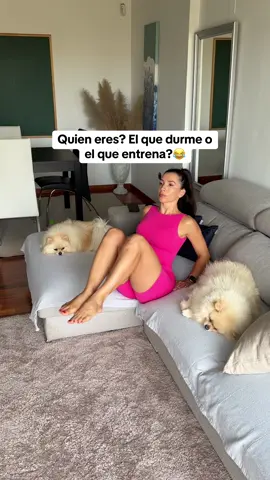 Mis chicos 😂💕 #perrostiktokers #perros #viralditiktok #parati #baby 