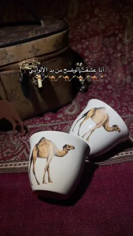 فناجيل الناقه مع هانقر الناقه صارو موجودين عند قهوتكي ❤️‍🔥❤️‍🔥❤️‍🔥❤️‍🔥❤️‍🔥❤️‍🔥 #fyp #fypシ #foryoupage #funny #جنطه #جمل #ناقه #هوديات_الشتاء #مطران_مطير_حمران_النواظر #هوديات_الشتاء #كاظم_الساهر 
