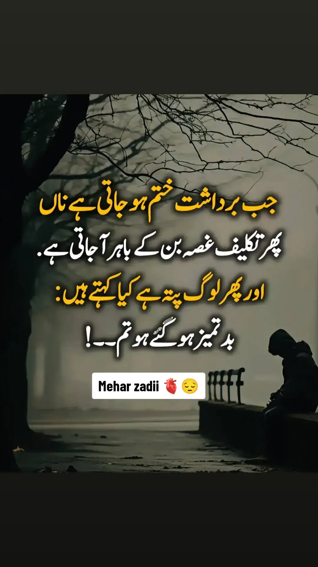 #mehar_zadii #🥺🔥💔✍️ #viral #unfreeze #account #tiktok #likeproblem😓 #sadpoetry🥺