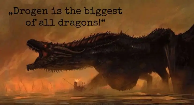 HOTD Dragons are crazy but Tolkien one‘s are another level.. (ik, that one should show Balerion) #houseofthedragon #edit #fy #hotd #drogon #dragon #rhaenyratargaryenedit #baleriontheblackdread #vhagar #tolkientok #biggest 