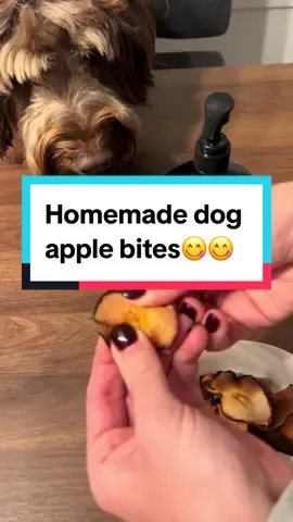 Homemade dog apple bites😋 #dogtreats #dogfoodrecipe #dogfood 