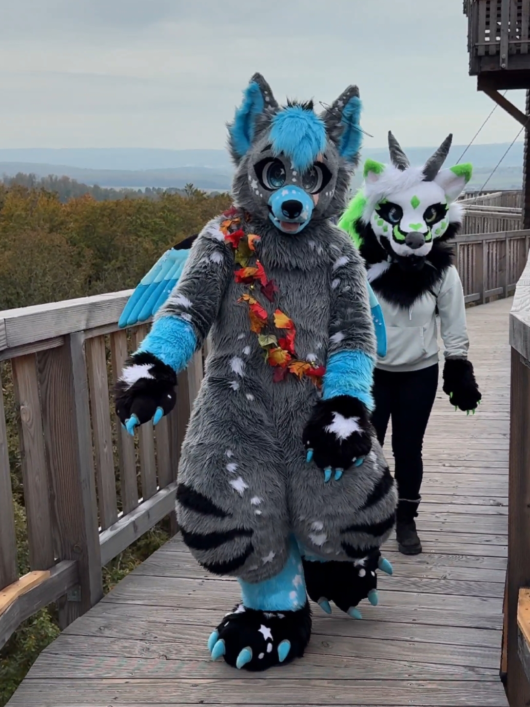 Just strolling by~ with @GreenwolfgirlOwO  • 🪡: Partial by @✨StormWorks✨  Bodysuit by @| •Saky• |  📷: @karrigallu  • Tags: #Furry #furrycommunity #fursuit #furryfandom #suit #germanfurry #foryoupage #fyp 