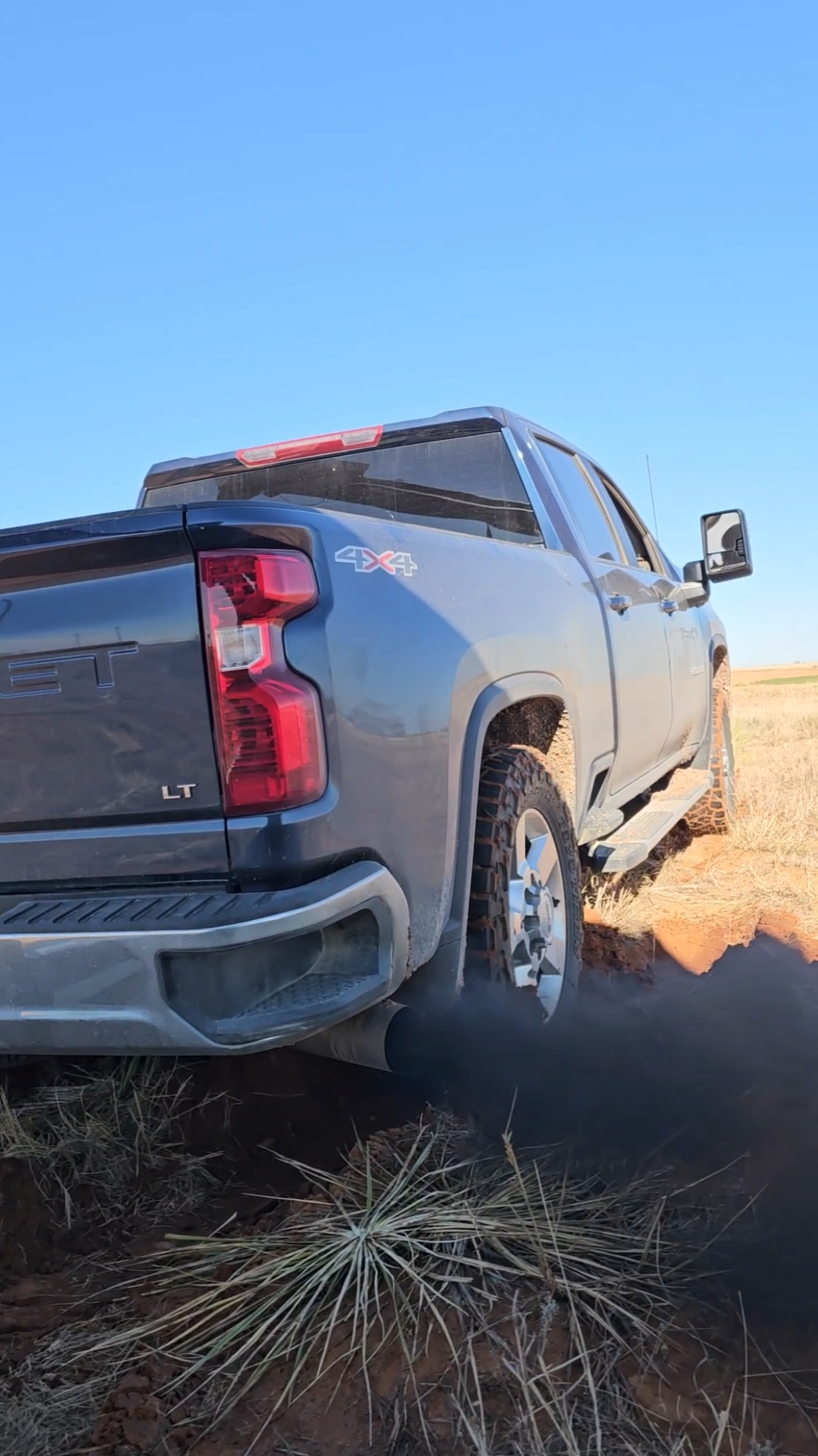 what a beautiful day to be alive #trump #farm #duramax #l5p #l5pduramax 