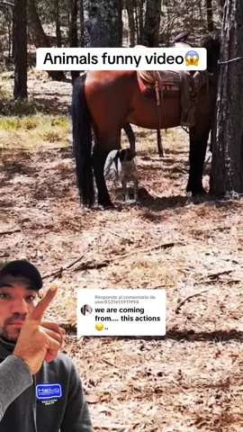 Respuesta a @user8531615911994  #animals #funnyvideo #animals #viralforyoupage 