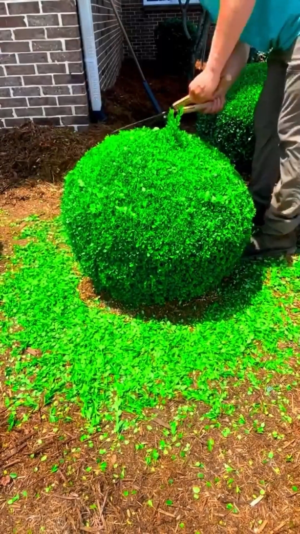 The drop of this song slaps haaard 😤 Relax and enjoy this satisfying work while listening to this banger 🙌 #garden #satisfyning #hedges #landscaping 