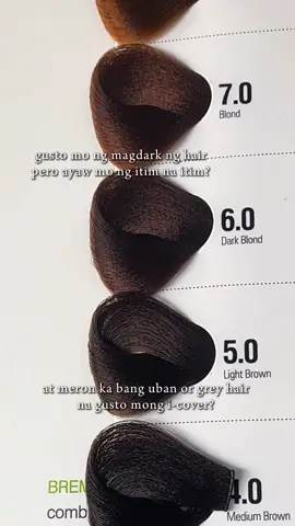 sawa na sa light hair color? and need na mag dark? Light brown and Dark Blond bremod color got you! ✨ #bremodhaircolor #darkhair #bremodpremuimh #hairdye #haircolor #haircare