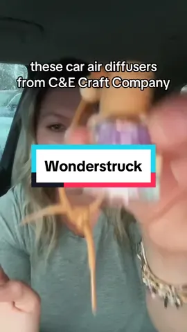 #creatorsearchinsights  Grab these now! If you already have some, let me know your favorite scent in the comments 💕 #car #airfreshener #giftideas #stockingstuffers 