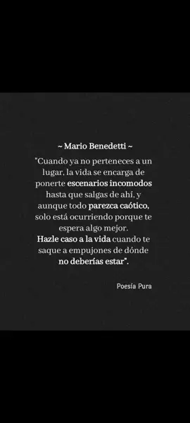 Frases y Reflexiones 