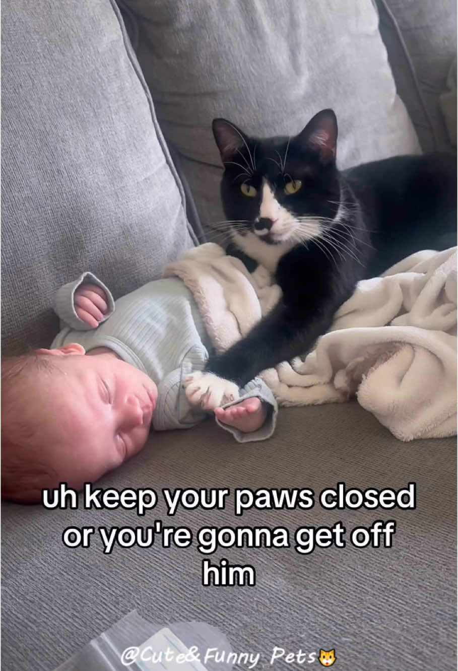 Part321丨baby vs kitten 🤣🤣#funnycats #funnyanimals #petvideos #cat #catsoftiktok #fyp #usa #longervideos #cats #fypage #fypシ゚viral #fyppppppppppppppppppppppp #catbaby #baby #babylove 