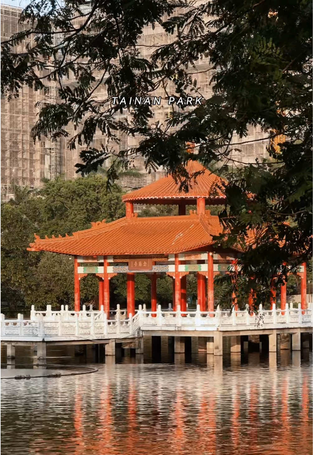 TAINAN PARK—A hidden gem for those seeking calm in the city's hustle. 🌿🕊️   #foryou #fypシ #tainanpark #taiwan #xybca 