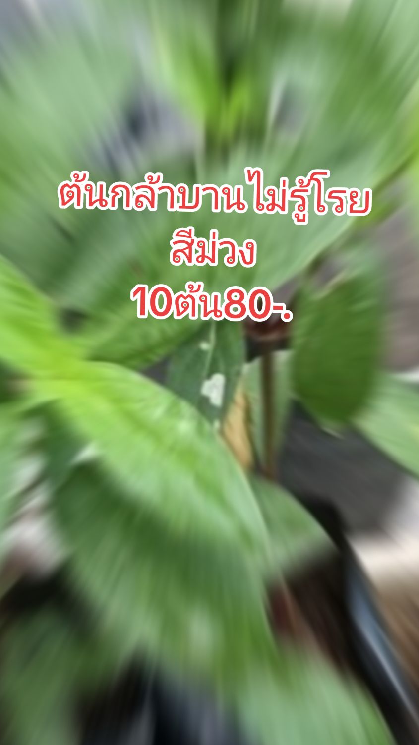 จะหมดแล้วน๊า #ดันขึ้นฟีดที #ลดราคา #ราคาถูก #ขายดี 