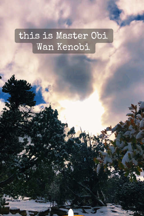 For my inner child: Obi Wan’s message to surviving Jedi  #innerchild #greyjedi #artemisofthewildland #dreamthemagicback #returntotheancientways 