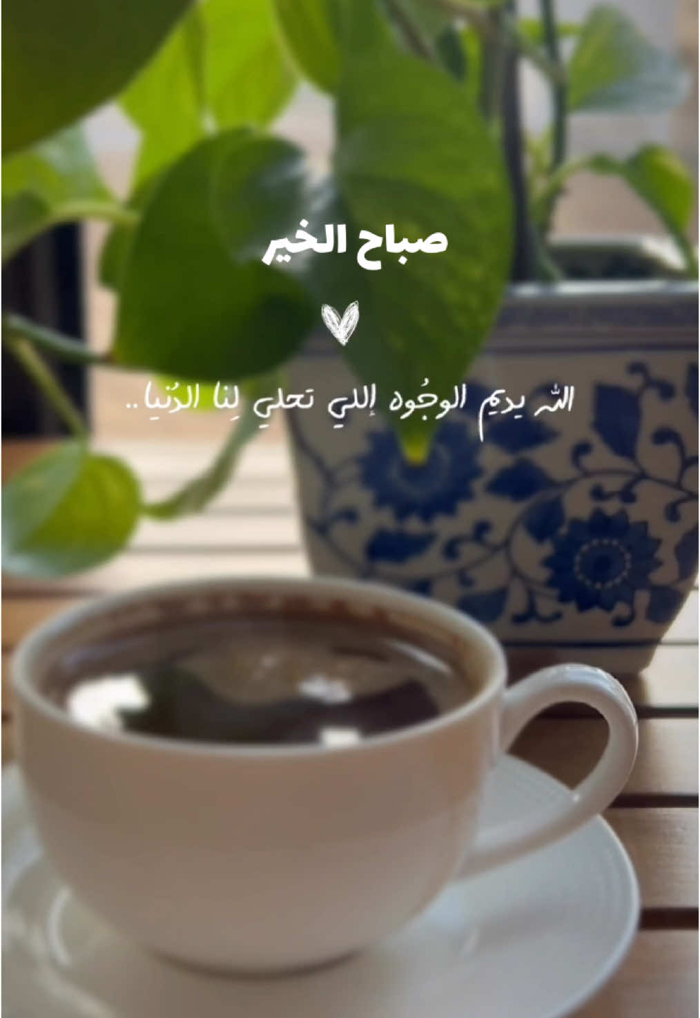 #صباح_الخير #صباحكم_سعادهـ🌸🍃 #your_coffee #رسالة_اليوم #goodmorning #bonjour #اكسبلورexplore #fypシ゚viral #fypシ #coff