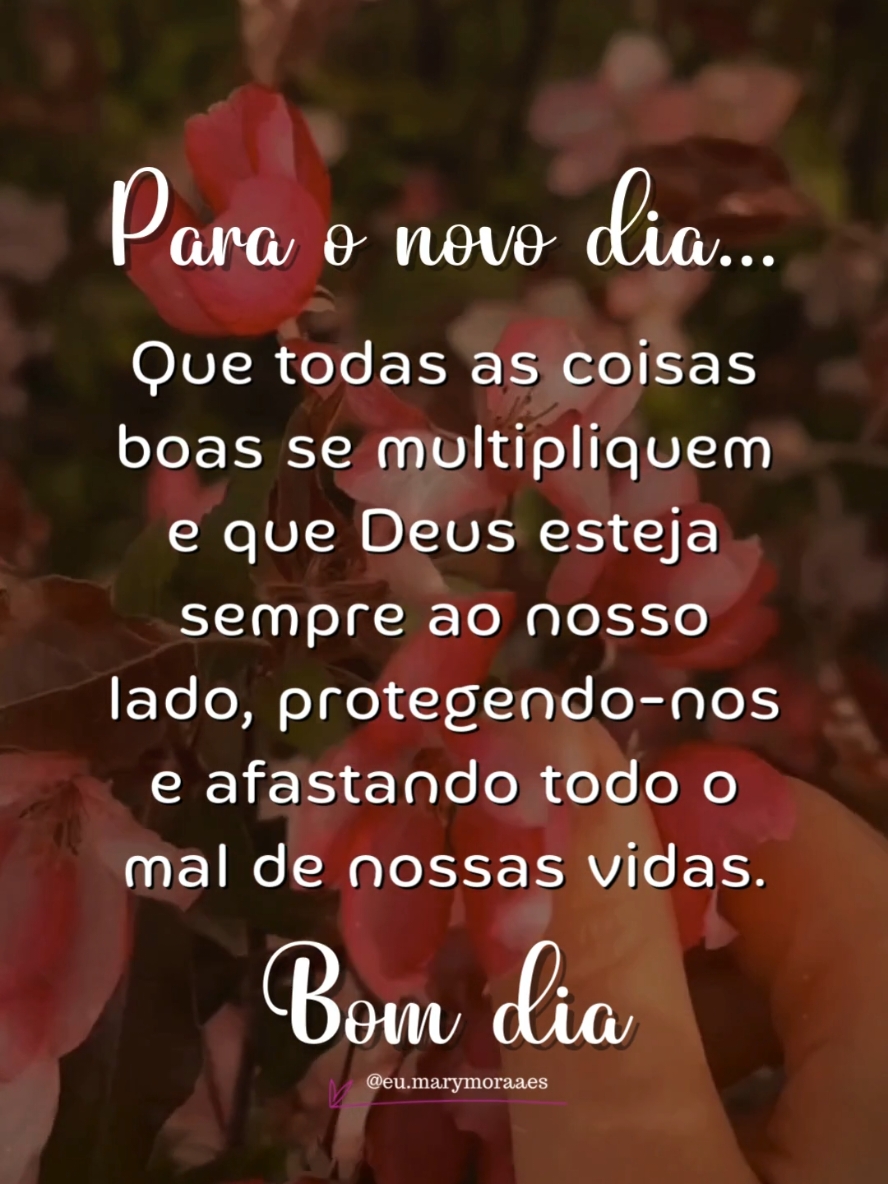 Abençoado dia! #bomdia #mensagemdebomdia #gratidao 