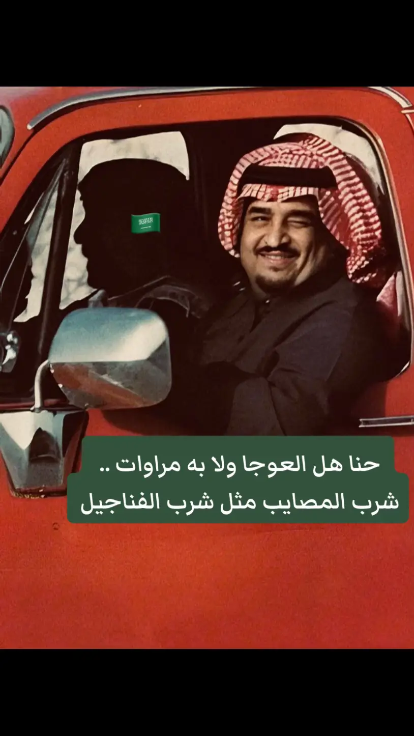 #قصيد #الملك_فهد #السعودية #المملكة_العربية_السعودية #🇸🇦 