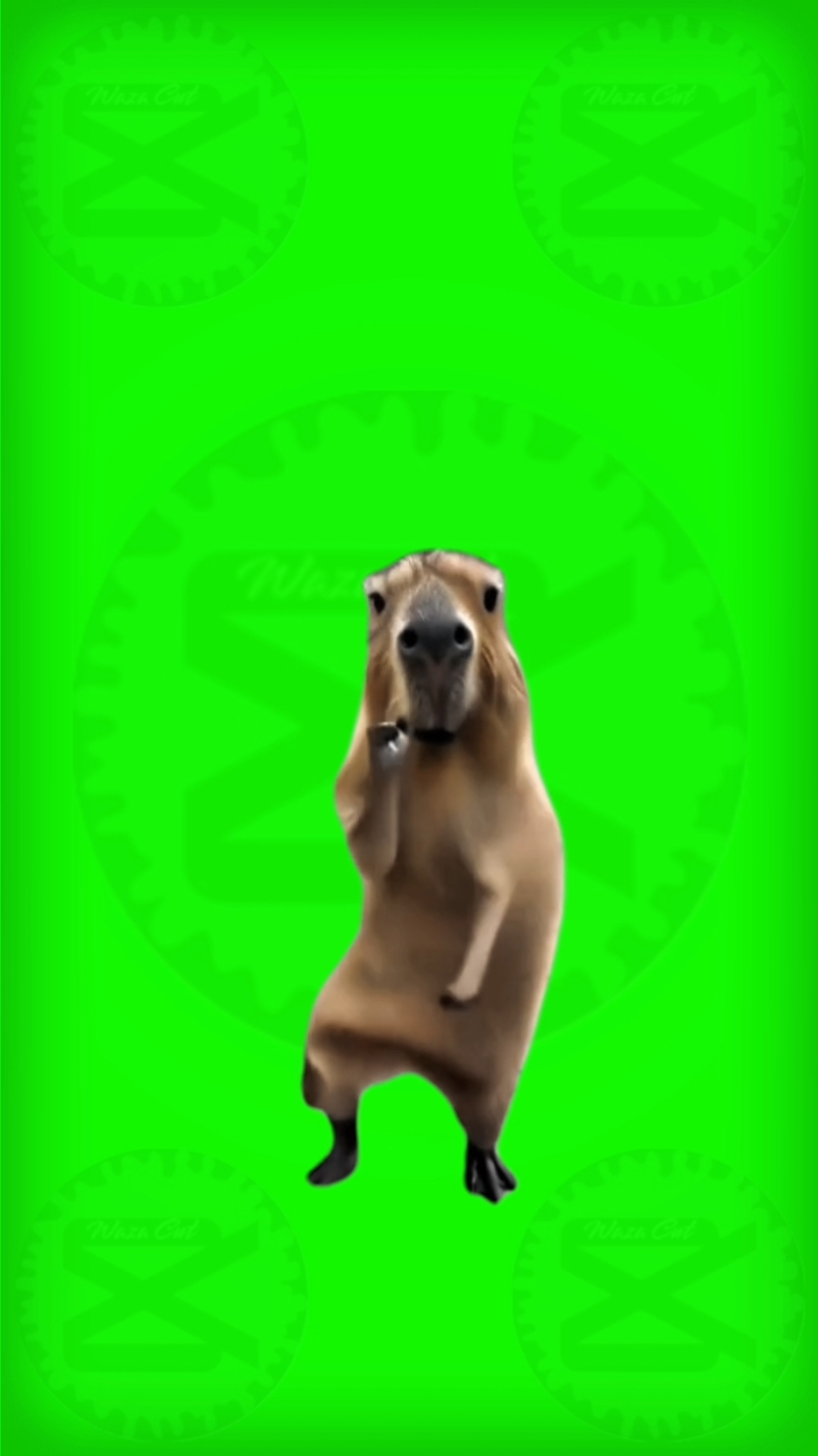 Capibara bailando #Meme #wazacut #pantallaverde #greenscreen
#animalesgraciosos #humor 