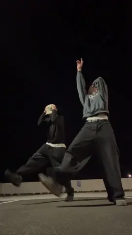 dc me 🗣️ had to hit this one again w/ @OL #duo #dance #nz 