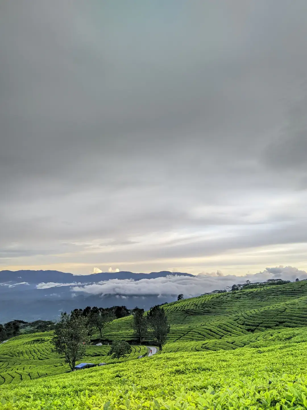 God's painting  #4u #pagaralam #xyzbca #pagaralamgunungdempo #pagaralamdansekitarnya #jemekite #sumatraselatan #pagaralam_salam_jeme_kite #lewatberanda #foryou #fyp #kebunteh #aestetic #gunung #pagaralamcity 