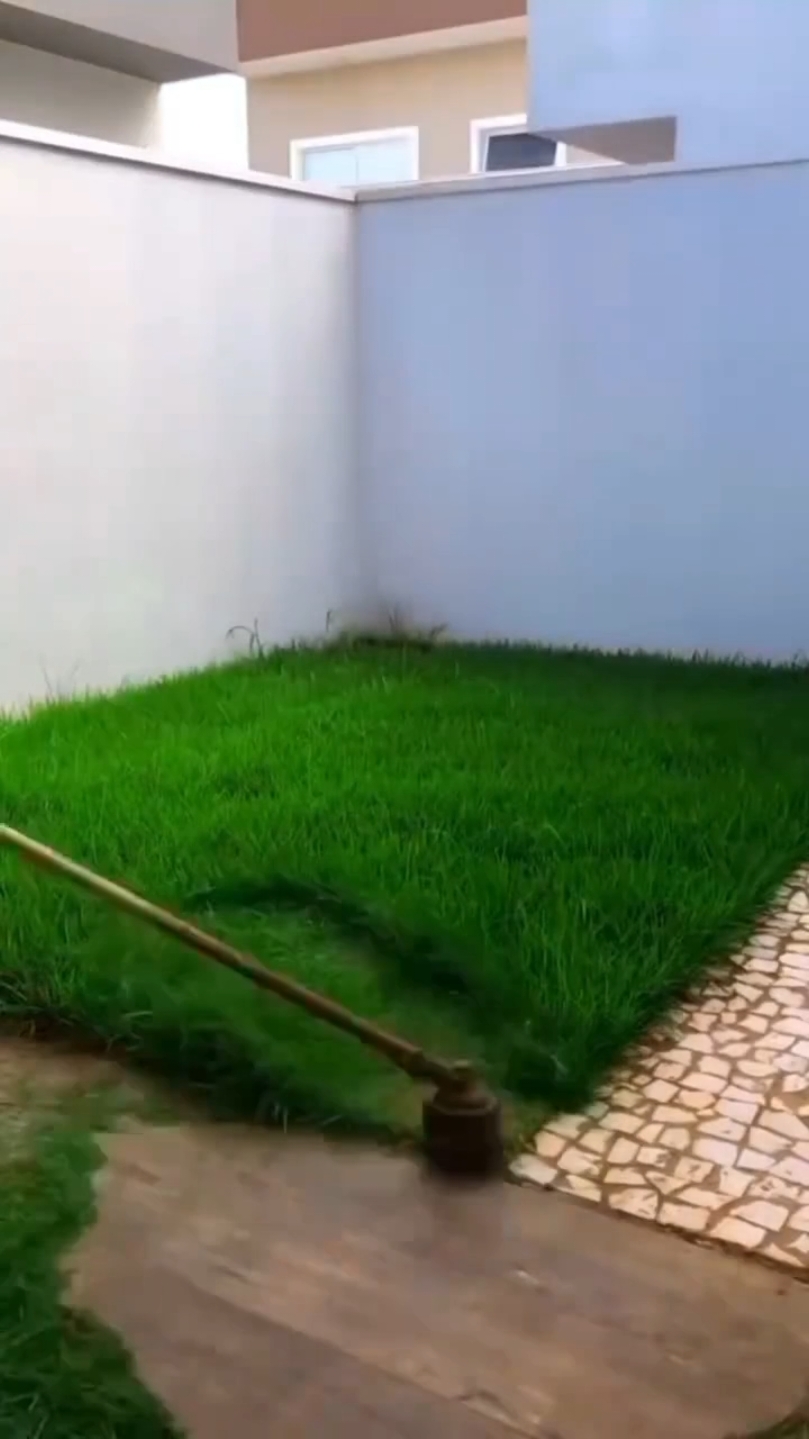 🥰🥰🥰#for #cleaning #clear #usa🇺🇸 