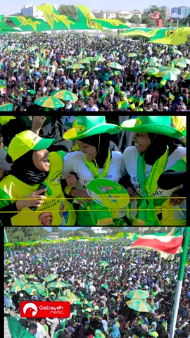 taageerayaashii Kulmiye ee Hargeysa.