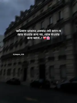 অভিমান ভাঙাতে একমাত্র সেই জানে যে ছেড়ে যাওয়ার জন্য নয়, থেকে যাওয়ার জন্য আসে..! ❤️‍🩹🌸 #foryoupage #fyp #bdtiktokofficial @TikTok Bangladesh 