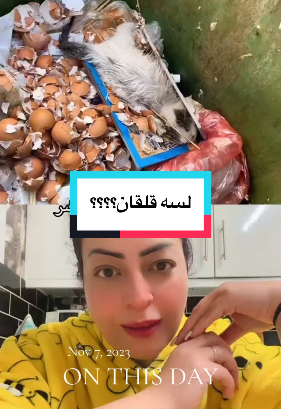 #onthisday يا اخي حط تكالك على رب العباد##raniaraghib #fyp #foryoupage❤️❤️ #foryou #rescue #catsoftiktok #pets #viral_video #kuwait  @Raniaraghibofficial#1  @Raniaraghibofficial#1  @Raniaraghibofficial#1 