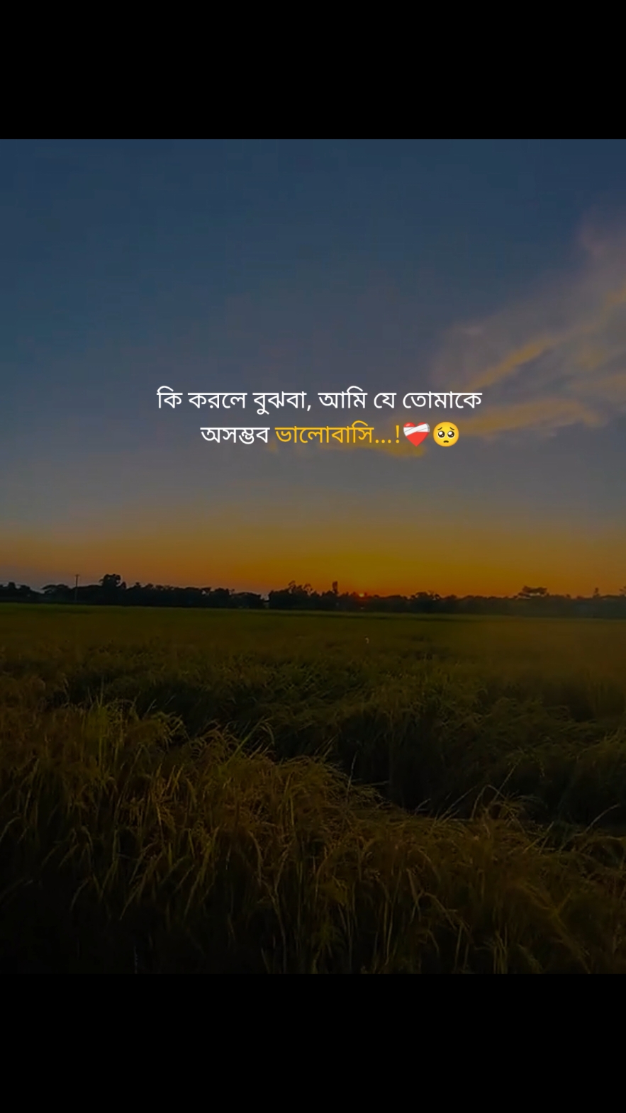 ki korle bujba..ami j tumake asombob valobashi..😑💝🌸... #sajib_74 #foryou #foryoupage #bdtiktokofficial #statusvideo #tiktok #fyp