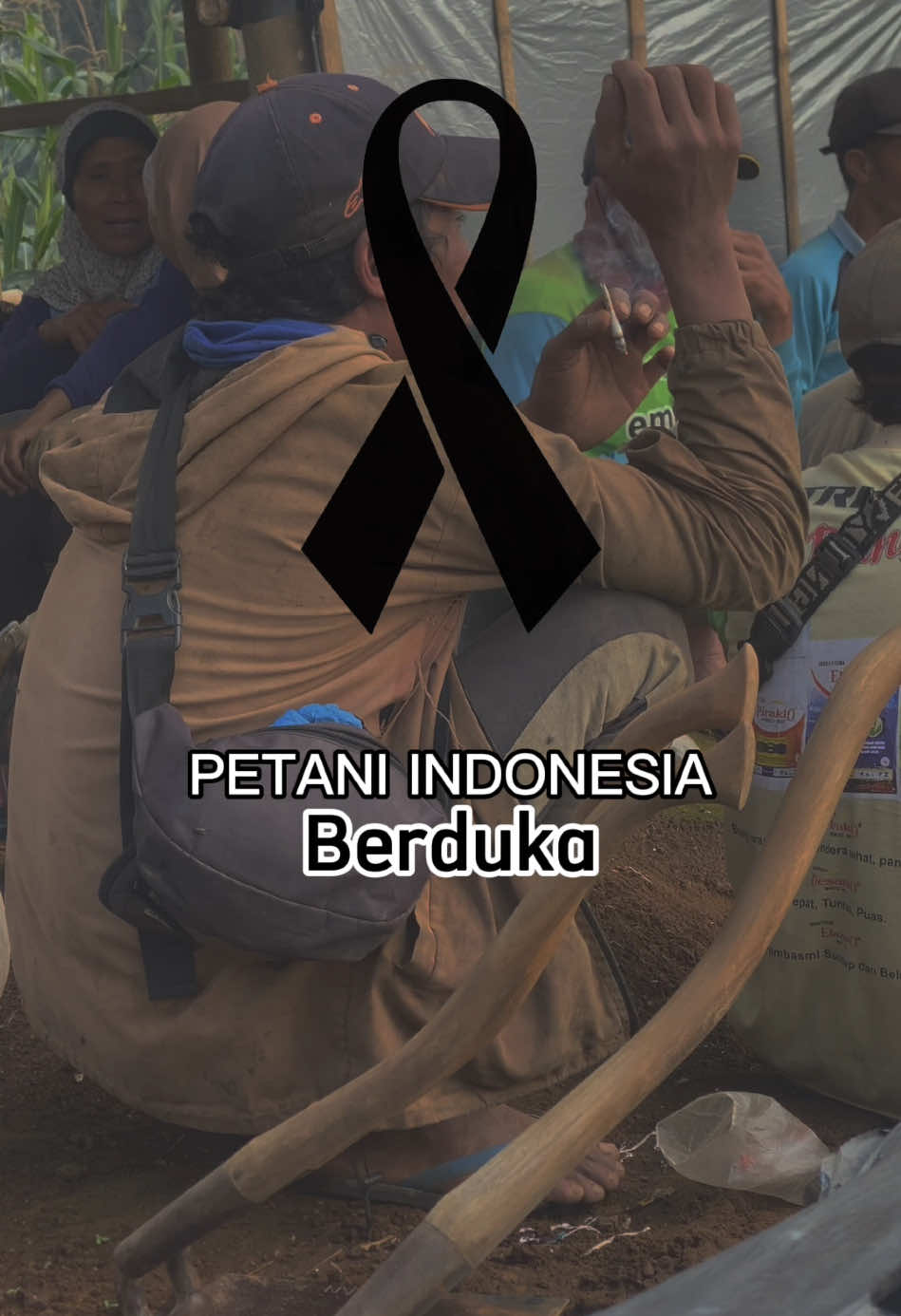 #rippetani #padahariini #petaniindonesia🇮🇩🇮🇩🇮🇩🌿🌿 #JelajahLiburan #fyp #petanimilenial 