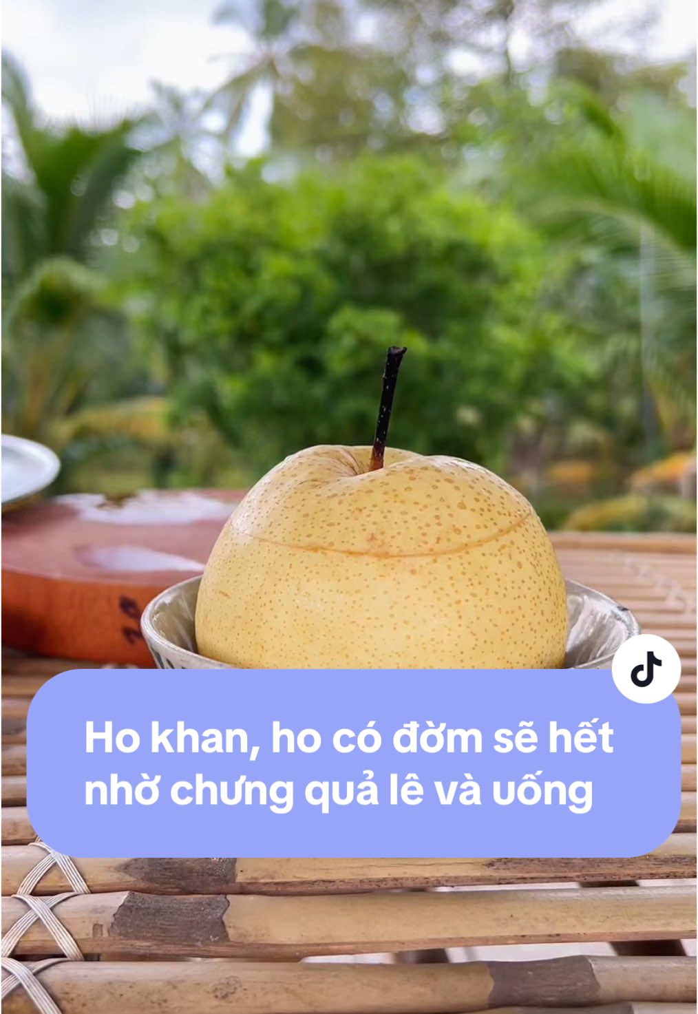 Trẻ em và người lớn sẽ hết ho khan, ho có đờm, nhờ chưng quả lê với đường phèn và gừng, uống rất tốt #bautoi #tiembaut #lechungduongphen #meohay #meodangian #meochambe 