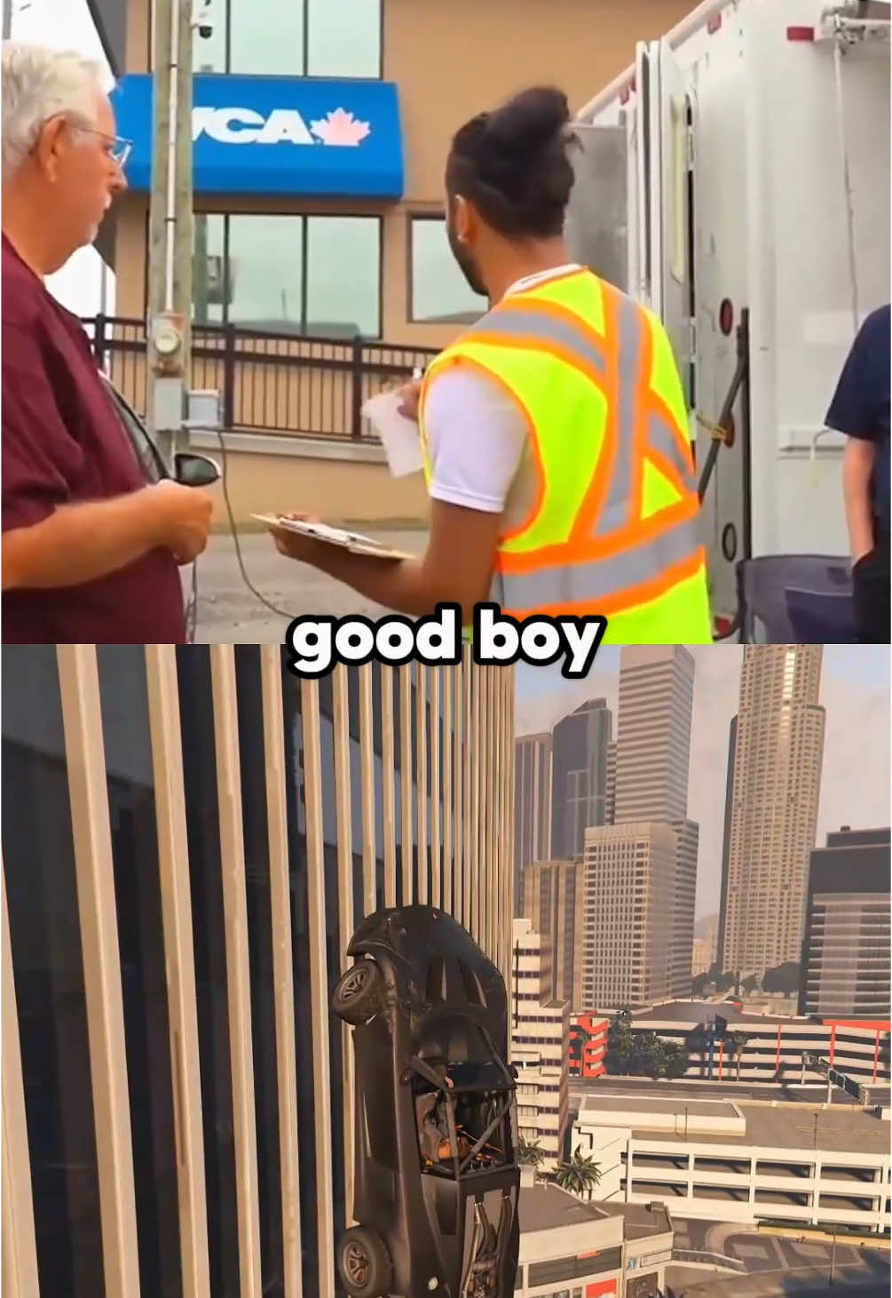 good boy