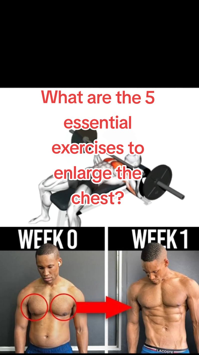 What are the 5 essential exercises to enlarge the chest?     #creatorsearchinsights #workout #your_muscle #musculation #chestworkout 