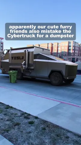 #carnews #cybertruck #tesla #ev #cartok #car #foryou 