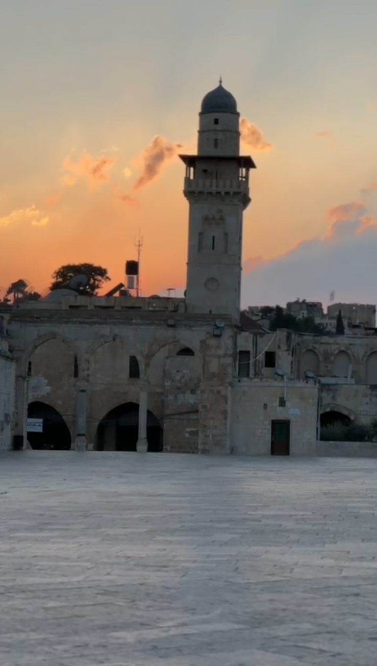 Peace & Calm of Masjid Al Aqsa.  Although the region is volatile, but the Calm & Peace you get in Masjid Al Aqsa is different to any other place in the world. Join us for our next Al Aqsa Tour January 22-29 Insha'Allah.  #Peace #Calm #masjidalaqssa #alaqsa #alquds #ziyarat #baitulmaqdis #islam #halaltour #halaltravel #Muslims #islamic 