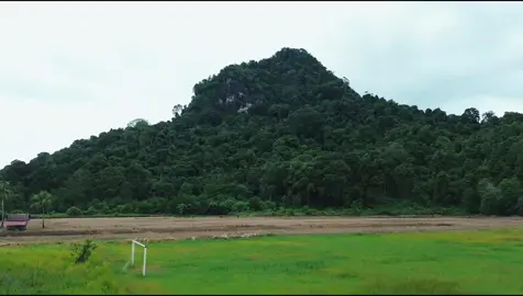 Desa Tanjung Harapan, Kec. Batu Ampar, Kab. Kubu Raya #drone #dronedji #djimini #suasanapedesaan #bukit #dronevideo #alam #kampung 