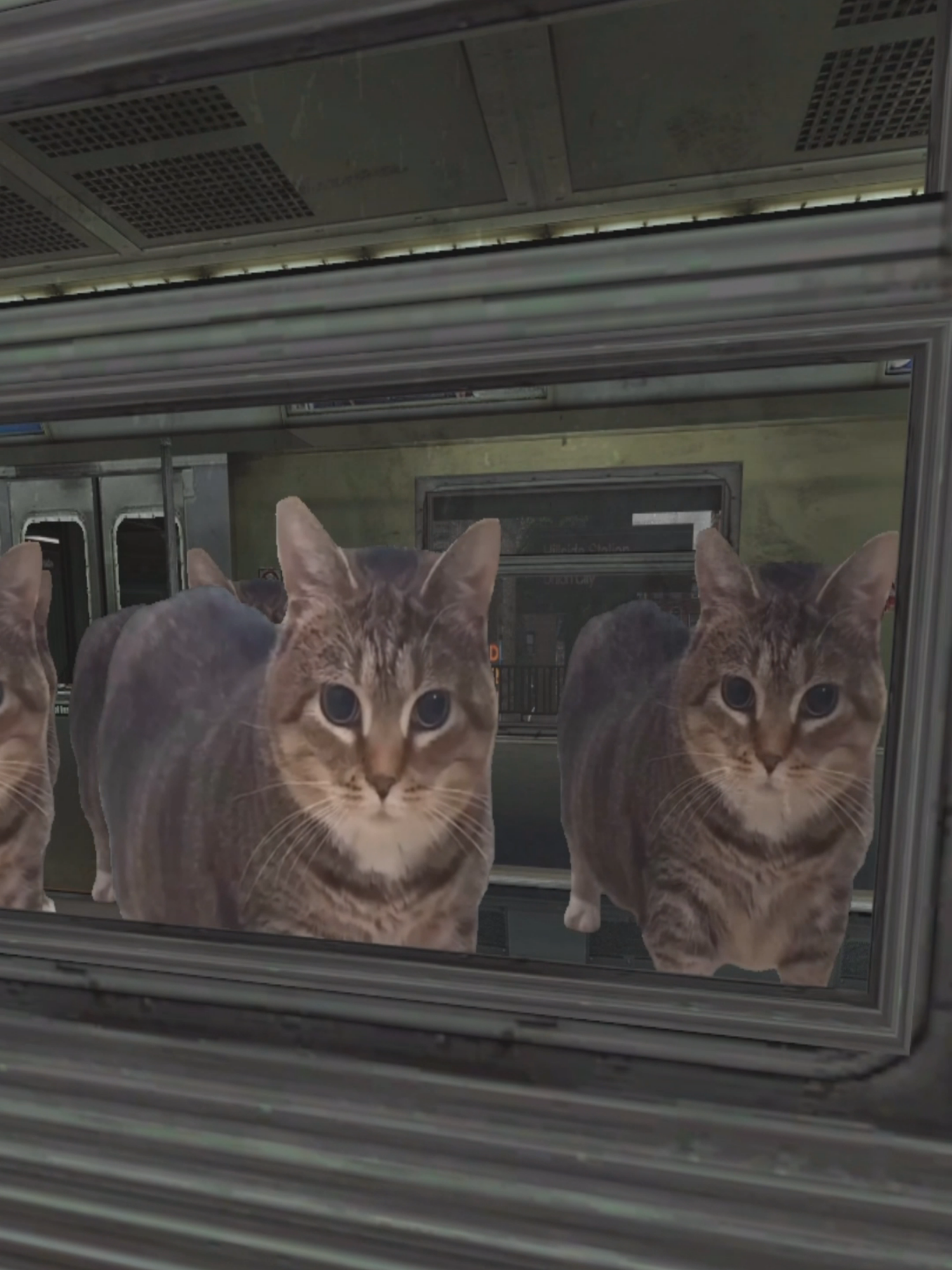 OIIA OIIA CAT 電車 🐈️🌀🚃 #garrysmod #nextbot #fyp #gmod #oiiaiiooiiai #catsoftiktok #catmeme #猫ミーム